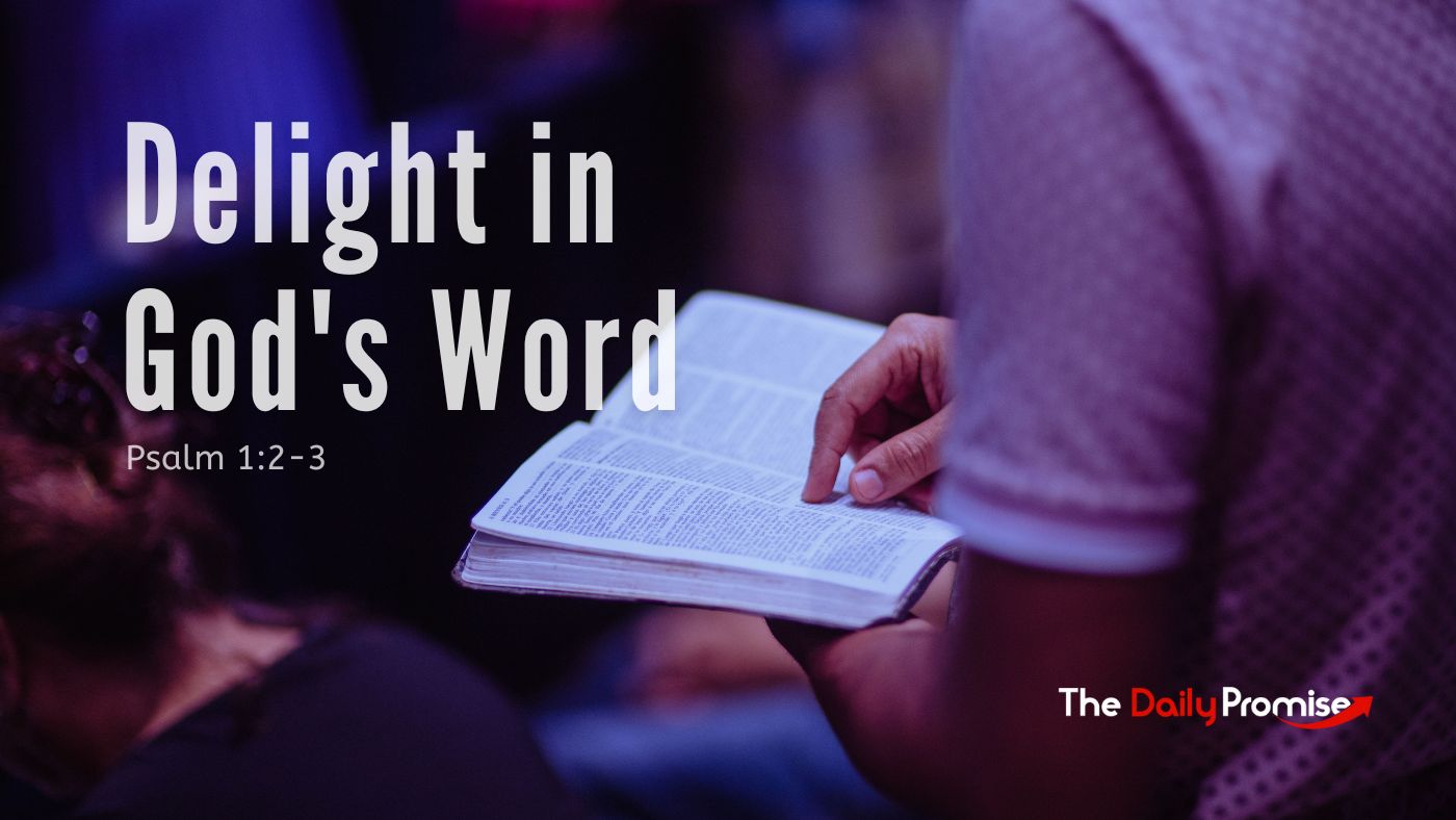 Man reading the Bible - Delight in God's Word - Psalm 1:2-3