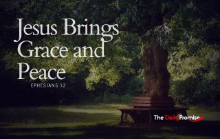 A peaceful forest scene - "Jesus Brings Grace and Peace" Ephesians 1:2