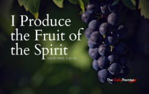A cluster of purple graces with the words, "I Produce the Fruit of the Spirit" - Galatians 5:22-23
