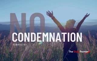 A woman standing in a field with her hands lifted in praise. - "No condemnation" - Romans 8:1