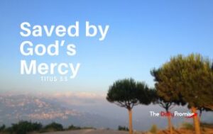 A picture looking over a vally filled with clouds with green trees in the forefront. "Saved by God's Mercy" - Titus 3:5