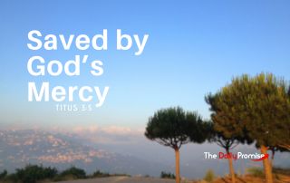 A picture looking over a vally filled with clouds with green trees in the forefront. "Saved by God's Mercy" - Titus 3:5