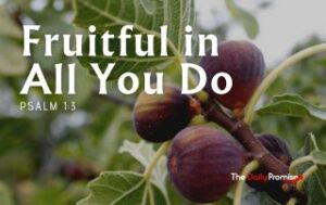 A cluster of Figs with the caption - "Fruitful in All You Do." - Psalm 1:2-3