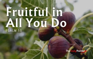 A cluster of Figs with the caption - "Fruitful in All You Do." - Psalm 1:2-3