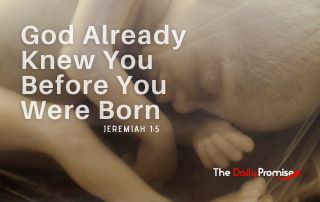 A close up black and white picture of a baby in the womb. "God Already knew You Before You Were Born" - Jeremiah 1:5