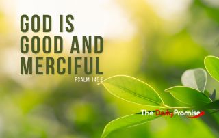 A close up of a green leaf - "God is Good and Merciful" Pslam 145:9