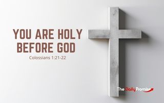 Colossians 1:21-22 - A gray cross on a light gray background with fade. "You are Holy Before God"