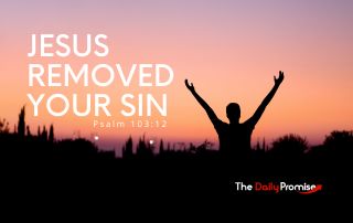 A man standing before a sunset with his hands raised - "Jesus Removed Your Sin"