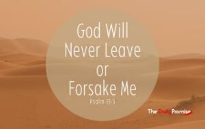 A Desert scene with a large transparent circle that says "God Will Never Forsake Me" - Hebrews 13:5