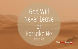 A Desert scene with a large transparent circle that says "God Will Never Forsake Me" - Hebrews 13:5