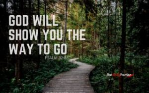 A winding road going into the woods. The heading reads, "God Will Show You the Way to Go." Psalm 332:8