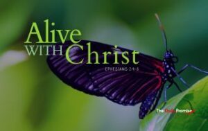 A butterfly with the words - Alive With Christ, Ephesians 2:4-5