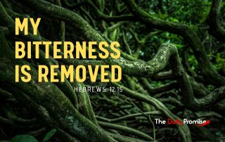 Dark green roots form the background. The title in yellow reads, "My Bitterness is Removed" Hebrews 12:15