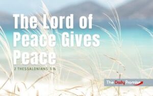 A beach scene with tall grass blowing in the breeze. "The Lord of Peace Gives Peace."