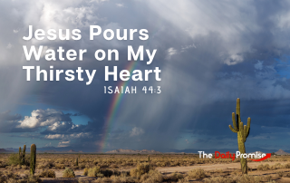 A dry desert with rain on the horizon. A cactus is on the front right side. "Jesus Pours Water on My Thirsty Heart" is the title in white.