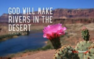 A desert scene with a cactus flower in front. "God Will Make Rivers in the Desert"
