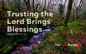"Trusting the Lord Brings Blessings" - a small stream in the forest.
