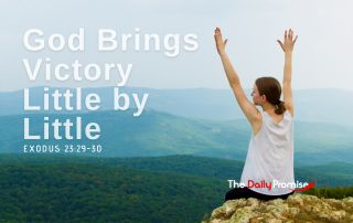 A woman sitting on a mountainside with her hands raised. "God Brings Victory Little by Little" - Exodus 23:29-30