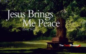 A Bench under a large shade tree - "Jesus Brings Me Peace" - John 14:27