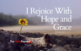 A yellow flower is growing out of dead tree limb on the ground - "I Rejoice With Hope and Grace" - Romans 5:2
