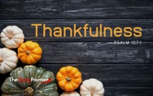 Various Pumpkins in the corner, with dark wood slats - "Thankfulness" - Psalm 107:1