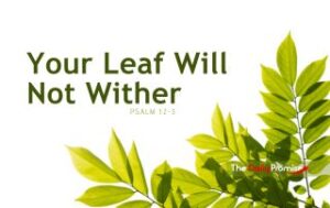 Green leaves in the bottom right corner, on a white background. "Your Leaf Will Not Wither" - Psalm 1:2-3