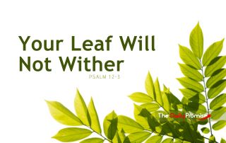 Green leaves in the bottom right corner, on a white background. "Your Leaf Will Not Wither" - Psalm 1:2-3