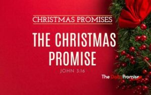 A red background with holly on the right side. "The Christmas Promise" John 3:16