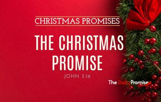 A red background with holly on the right side. "The Christmas Promise" John 3:16