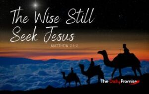 A graphic of the wise men on camels following the star. "The Wise Still Seek Him" - Matthew 2:1-2