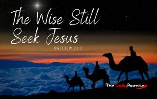 A graphic of the wise men on camels following the star. "The Wise Still Seek Him" - Matthew 2:1-2