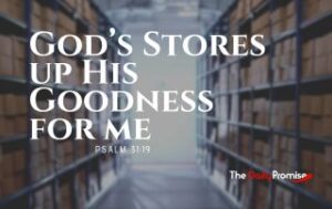 A view of looking down racks of storage boxes. "God Stores Up His Goodness for me" Psalm 31:19