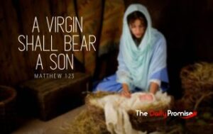 The Virgin Mary looking down on the baby Jesus "A Virgin Shall Bear a Son" - Matthew 1:23