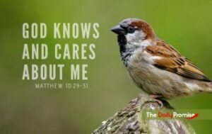 A bird sitting on a branch with a green background. The caption reads - God Knows and Cares About Me - Matthew 10:29-30