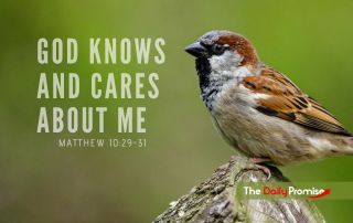 A bird sitting on a branch with a green background. The caption reads - God Knows and Cares About Me - Matthew 10:29-30
