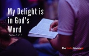 Man reading the Bible - My Delight is in God's Word - Psalm 1:2-3