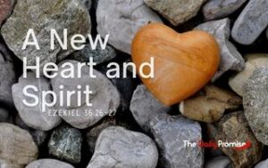 Gray rocks with a brown heart shaped rock in the center. "A New Heart and Spirit" - Ezekiel 36:26-27