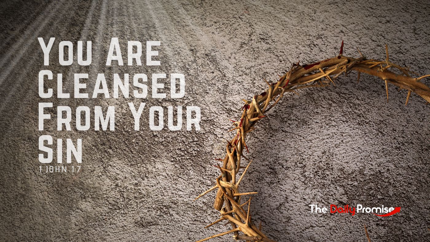 The crown of thorns lying on a stone. "You are Cleansed from Your Sin"