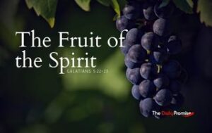 A cluster of purple graces with the words, "The Fruit of the Spirit" - Galatians 5:22-23