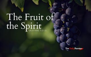 A cluster of purple graces with the words, "The Fruit of the Spirit" - Galatians 5:22-23
