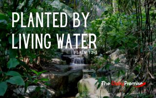Forest with a stream flowing over rocks. The caption reads, "Planted by Living Water." Psalm 1:2-3