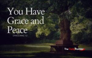 A peaceful forest scene - "You Have Grace and Peace" Ephesians 1:2