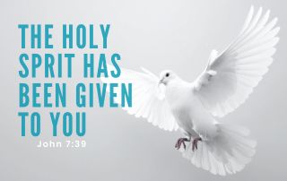 I white dove with its wings spread against a faded gray background. "The Holy Spirit Has Been Given to You" - John 7:39