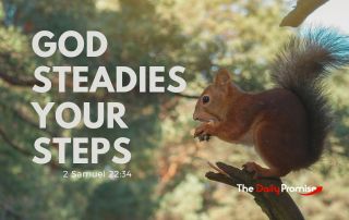 A Squirrel with the words "God Steadies Your Steps" 2 Samuel 22:34