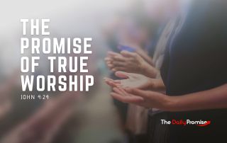 A person with their hands raised in worship. "The Promise of True Worship" - John 4:24
