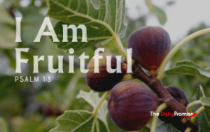 A cluster of Figs with the caption - "I Am Fruitful" - Psalm 1:2-3