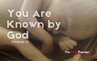A close up black and white picture of a baby in the womb. "You are Known by God" - Jeremiah 1:5