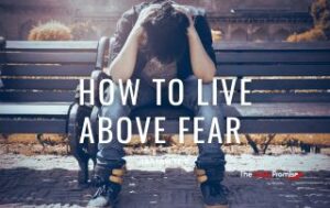 A man sitting on a park bench with the head down and his hands clasped above his head. "How to Live Above Fear" Isaiah 12:2