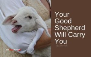 A picture of a shepherd carrying a lamb in his arms. "Your Good Shepherd Will Carry You." Isaiah 40:11