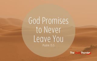 A Desert scene with a large transparent circle that says "God Promises to Never Leave You" - Hebrews 13:5